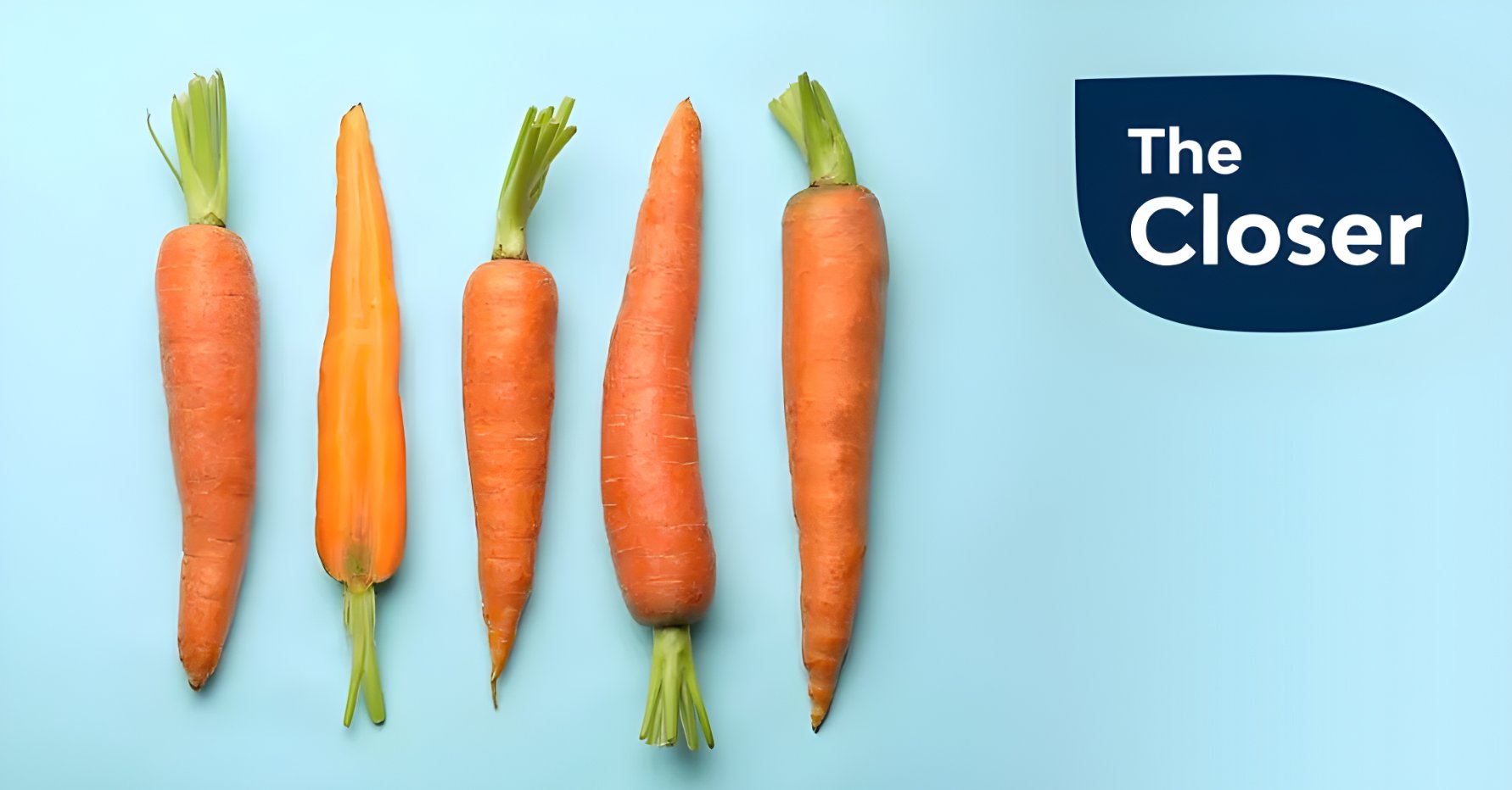 Carrots and Sticks Are Both Long and Skinny Clari