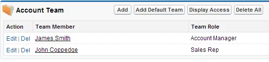 Screenshot of Account Team in Salesforce