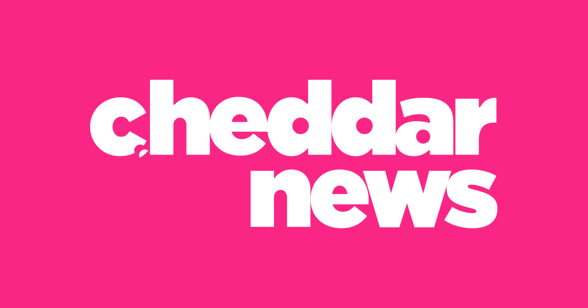 Cheddar News logo