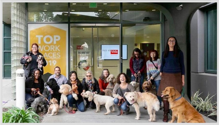 Wind River team with their dogs